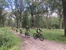 forêt Rambouillet